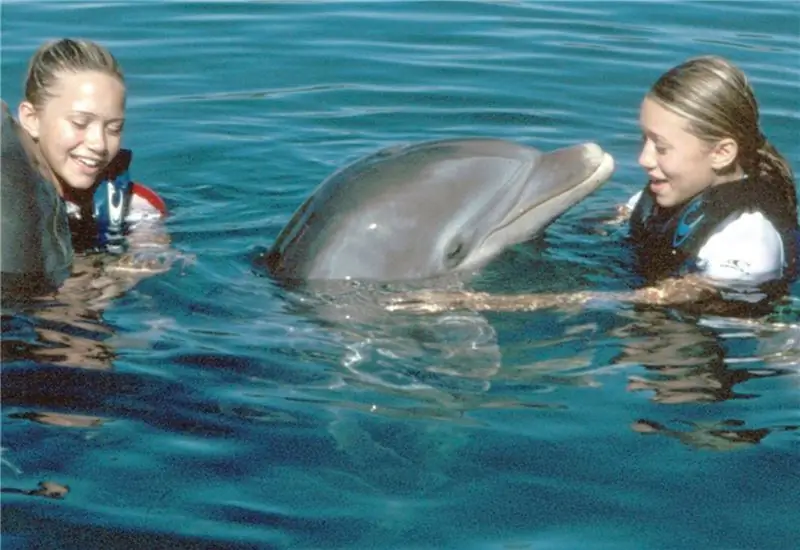 Mary Kate และ Ashley Olsen ใน Holiday in the Sun