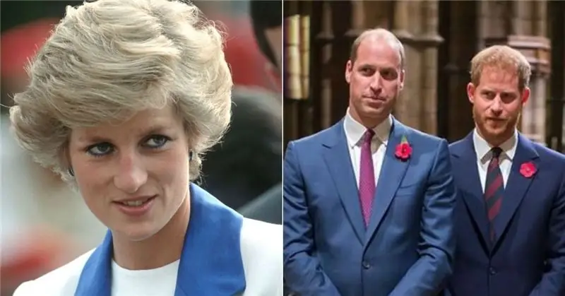 Princeza Diana Princ William Princ Harry